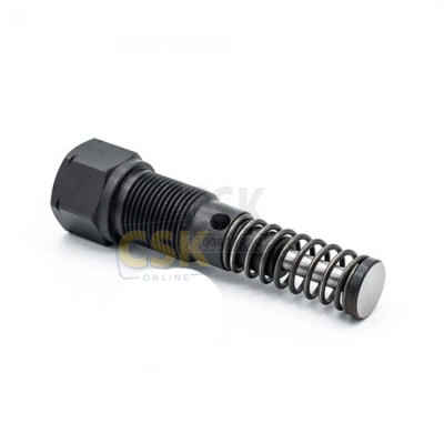 Pumpenelement  SKF KFG1U1