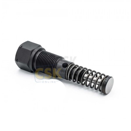 Pumpenelement  SKF KFG1U1