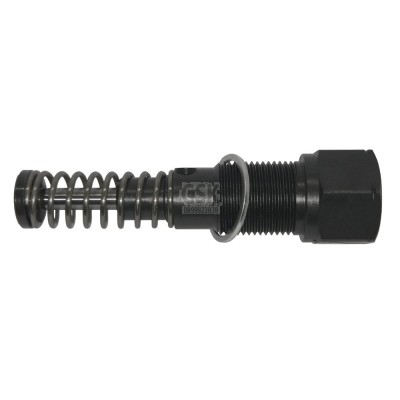 Pumpenelement  SKF KFG1U1