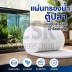 แผ่นกรอง